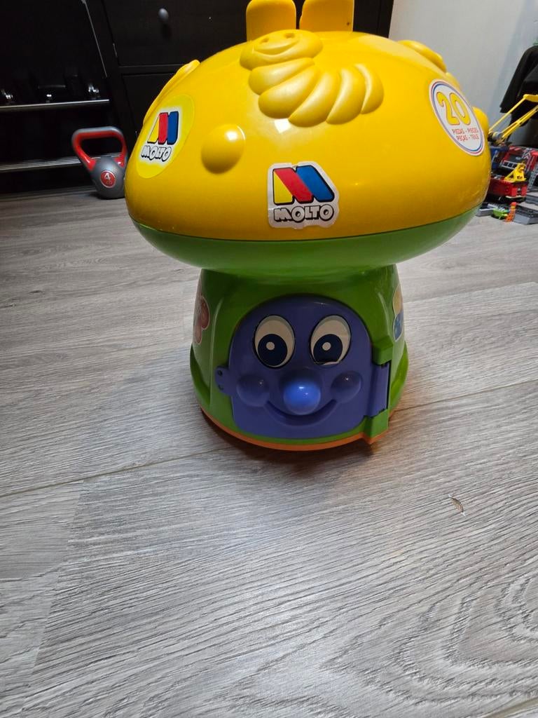 Paddestoel, Ophalen of Verzenden