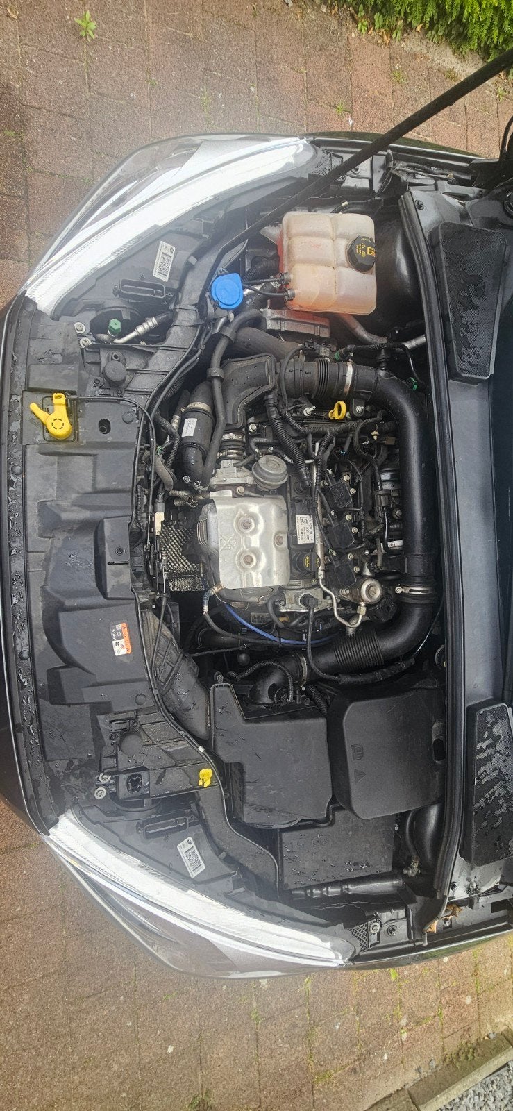Ford Focus stationwagon, Ophalen, Gebruikt, Ford