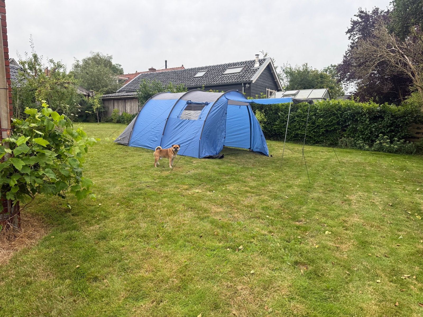 Skandika Outdoor Tent voor 5 Personen - Ideaal voor Kamperen, Ophalen of Verzenden, Gebruikt, Tot en met 5