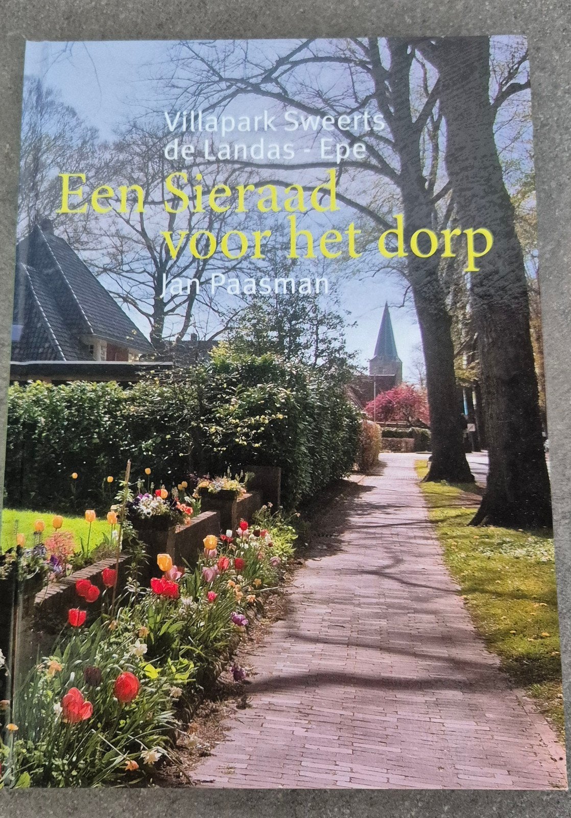 Een sieraad voor het dorp (Epe), Boeken, Geschiedenis | Stad en Regio, Ophalen of Verzenden