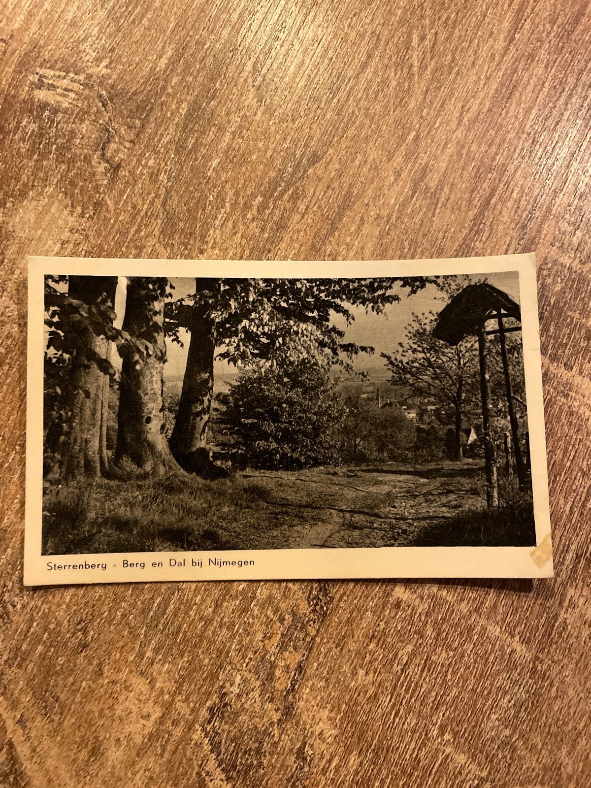Oude ansichtkaart Sterrenberg - Berg en Dal bij Nijmegen, Ophalen of Verzenden, Ongelopen, Gelderland