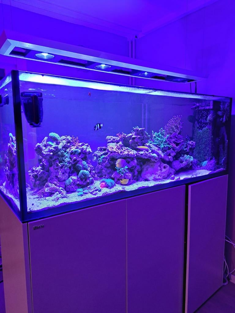 Doorkijk Roomdivider Peninsula, Ophalen, Leeg aquarium