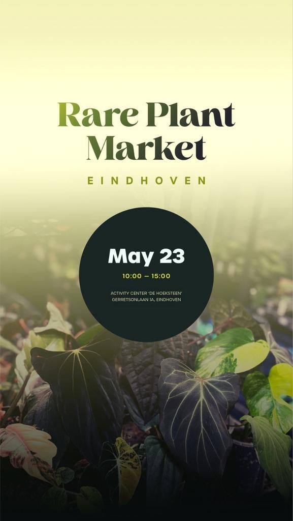 Rare Plant Market Eindhoven, Ophalen, Halfschaduw, Minder dan 100 cm