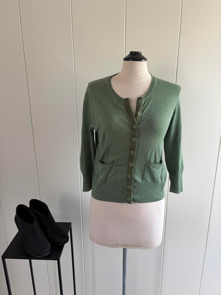 Jo en Co, Kleding | Dames, Ophalen of Verzenden, Zo goed als nieuw, Maat 38/40 (M), Groen