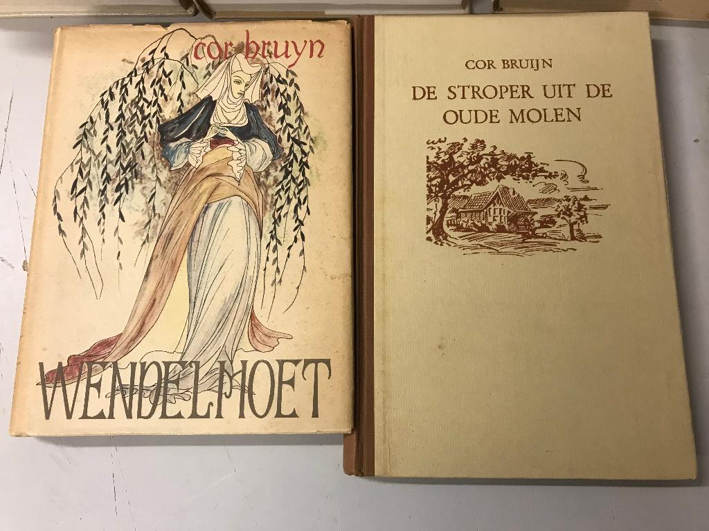 T.K. nog enkele boeken van Cor Bruijn Zie actuele lijst, Ophalen of Verzenden, Gelezen, Cor Bruijn