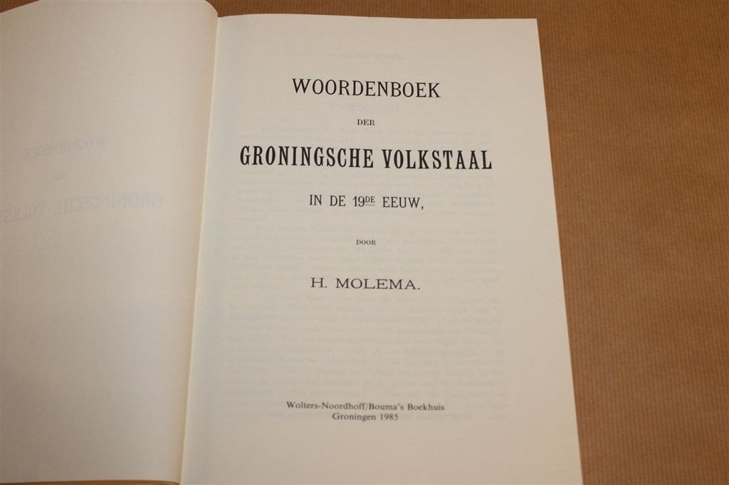 Woordenboek Groningsche Volkstaal 19de Eeuw, Ophalen of Verzenden, Zo goed als nieuw