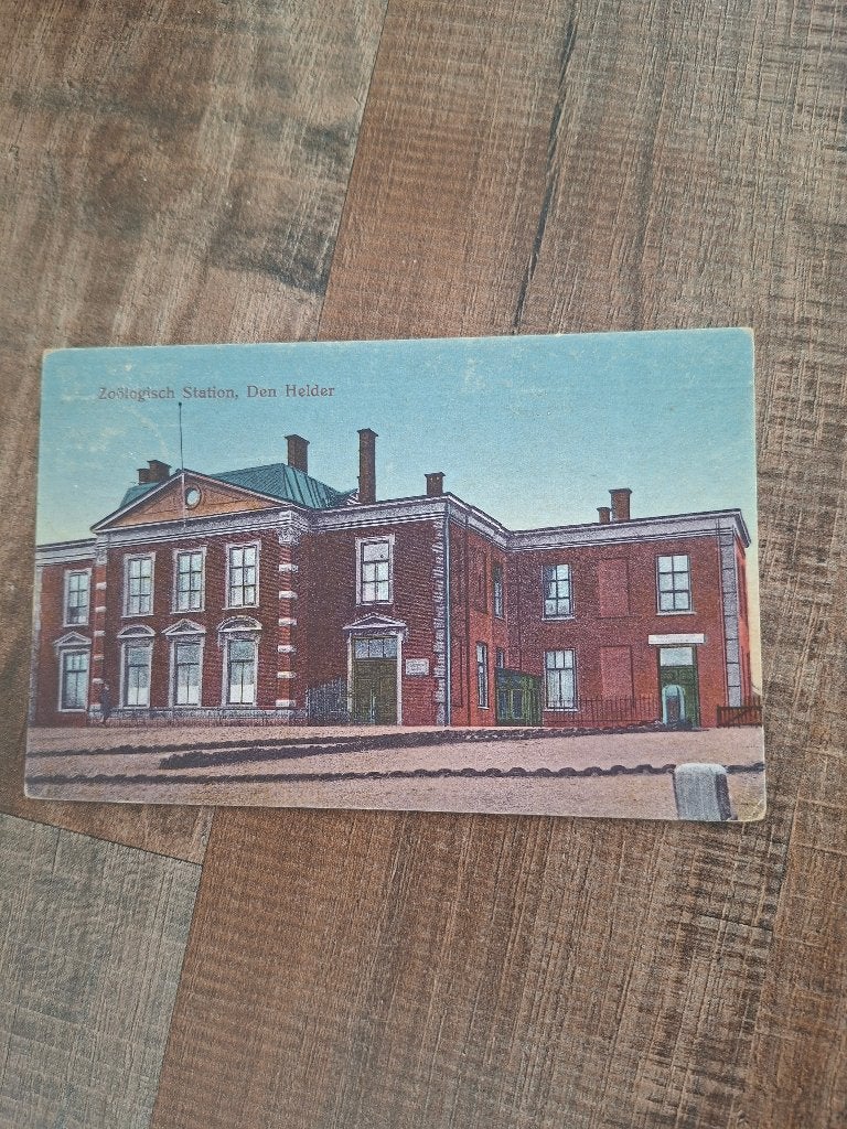 den helder, Ophalen of Verzenden, 1920 tot 1940, Gelopen, Noord-Holland