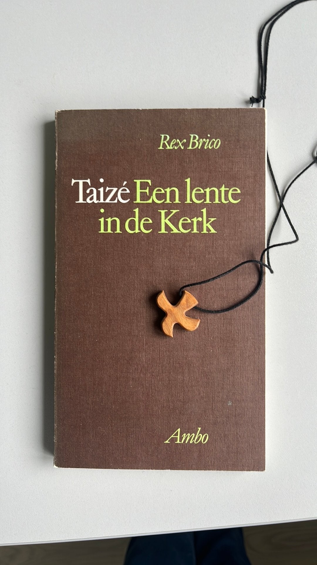 Taizé boek (een lente in de Kerk) en houten kruisje ketting, Ophalen of Verzenden, Gelezen, Christendom | Katholiek