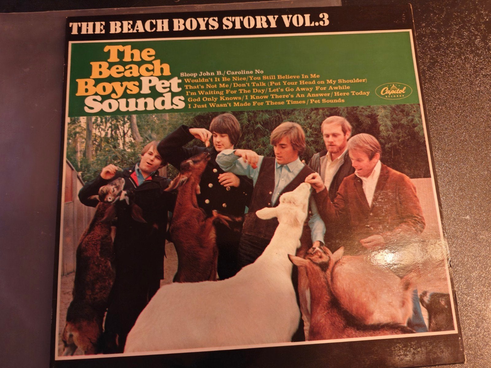 Beach Boys Pet Sounds vinyl NL repress, Ophalen of Verzenden