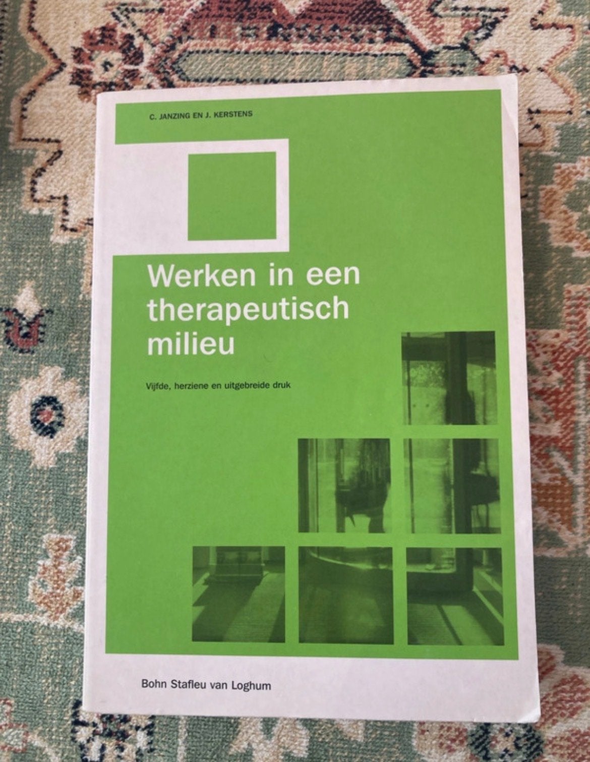 Werken in een therapeutisch milieu - C. Janzing & J. Kersten, Boeken, Ophalen of Verzenden, Gamma, Zo goed als nieuw, HBO