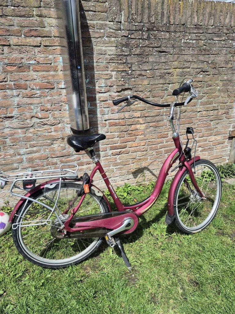 Moederfiets Sparta Amazone Trendy, Fietsen en Brommers, Fietsen | Dames | Moederfietsen, Ophalen, Sparta, Versnellingen, 0 zitjes
