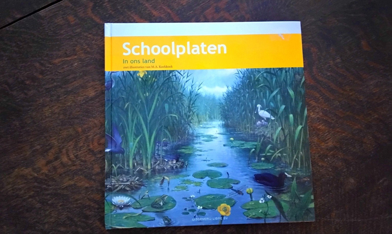 A.W.M. Dost - Schoolplaat In ons Land, Ophalen of Verzenden, Zo goed als nieuw, A.W.M. Dost