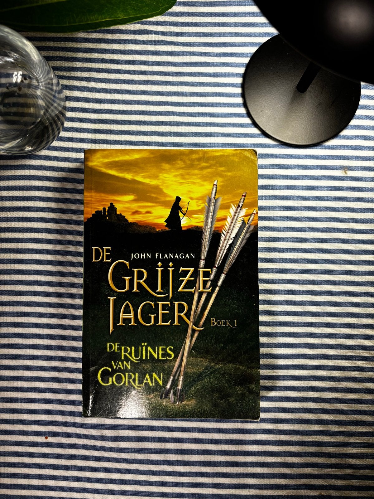 De Grijze Jager: De Ruïnes van Gorlan - Boek 1, Ophalen of Verzenden, Gelezen