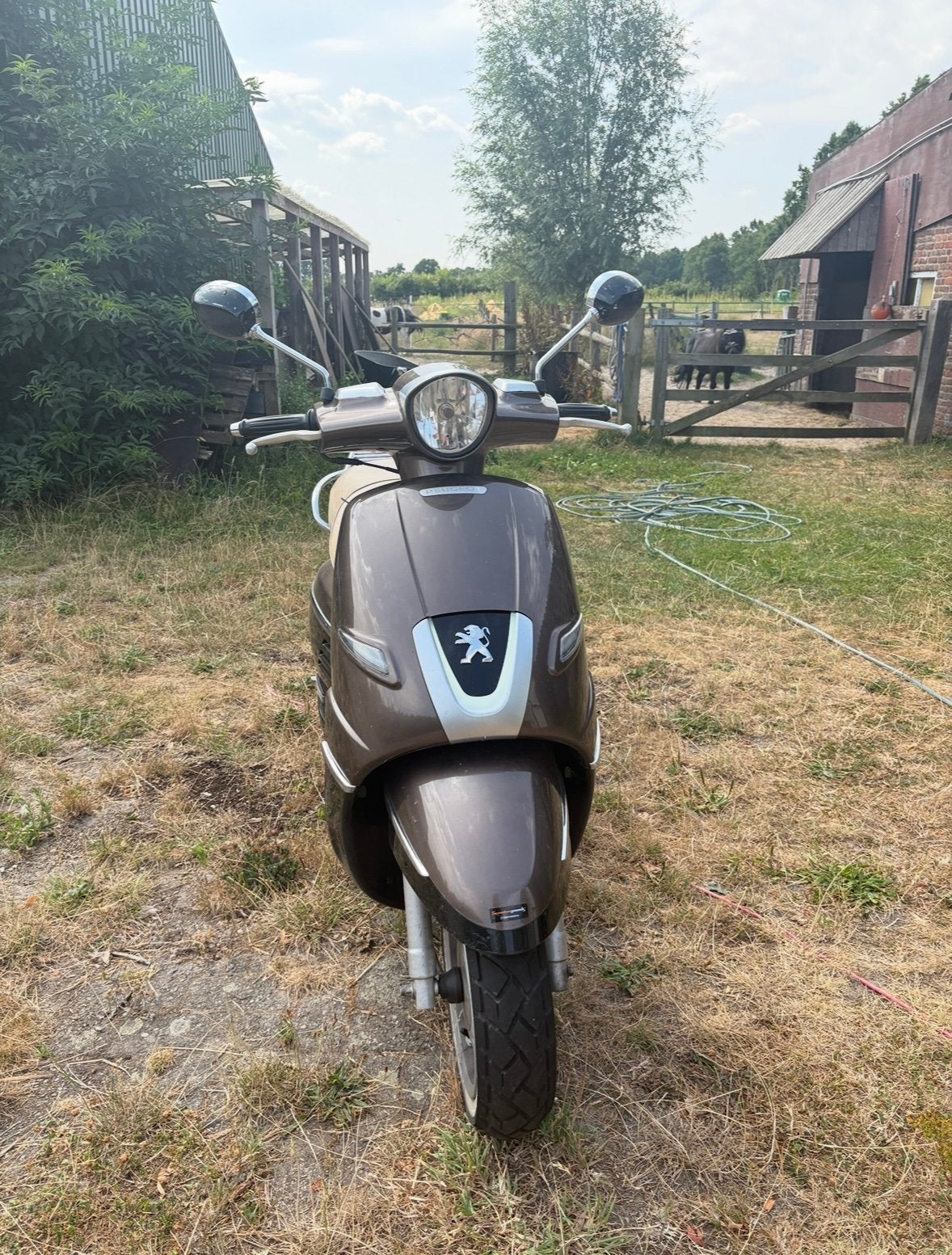 Peugeot Django - Bromfiets, Ophalen, Gebruikt, Overige modellen, Maximaal 45 km/u