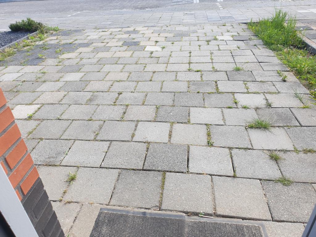 Gratis tuintegels, Tuin en Terras, Ophalen of Verzenden, Gebruikt, Beton, Terrastegels