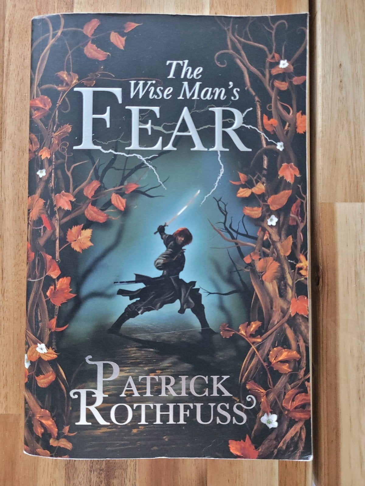 The wise man's fear - Patrick Rothfuss, Ophalen of Verzenden, Gelezen, Patrick Rothfuss