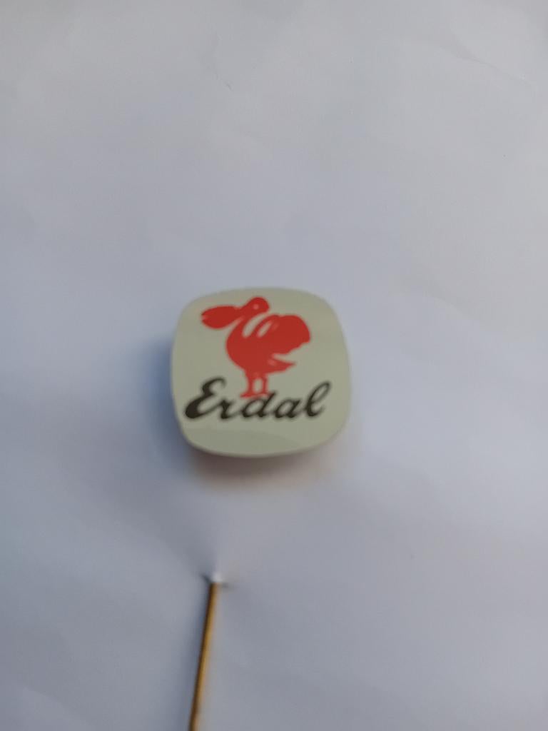 Pin - ERDAL - Amersfoort, Verzamelen, Ophalen of Verzenden, Zo goed als nieuw, Merk, Speldje of Pin