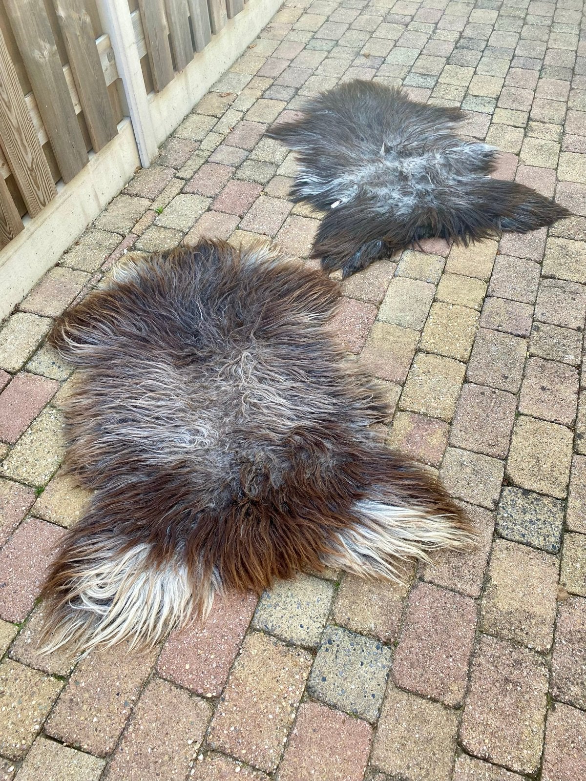 2 Langharige schapenvachten, Ophalen of Verzenden, Gebruikt