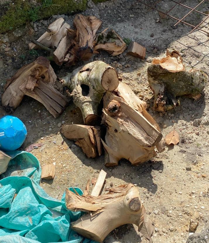 Meerdere grote blokken walnoot haardhout kampvuur, Minder dan 3 m³, Ophalen of Verzenden