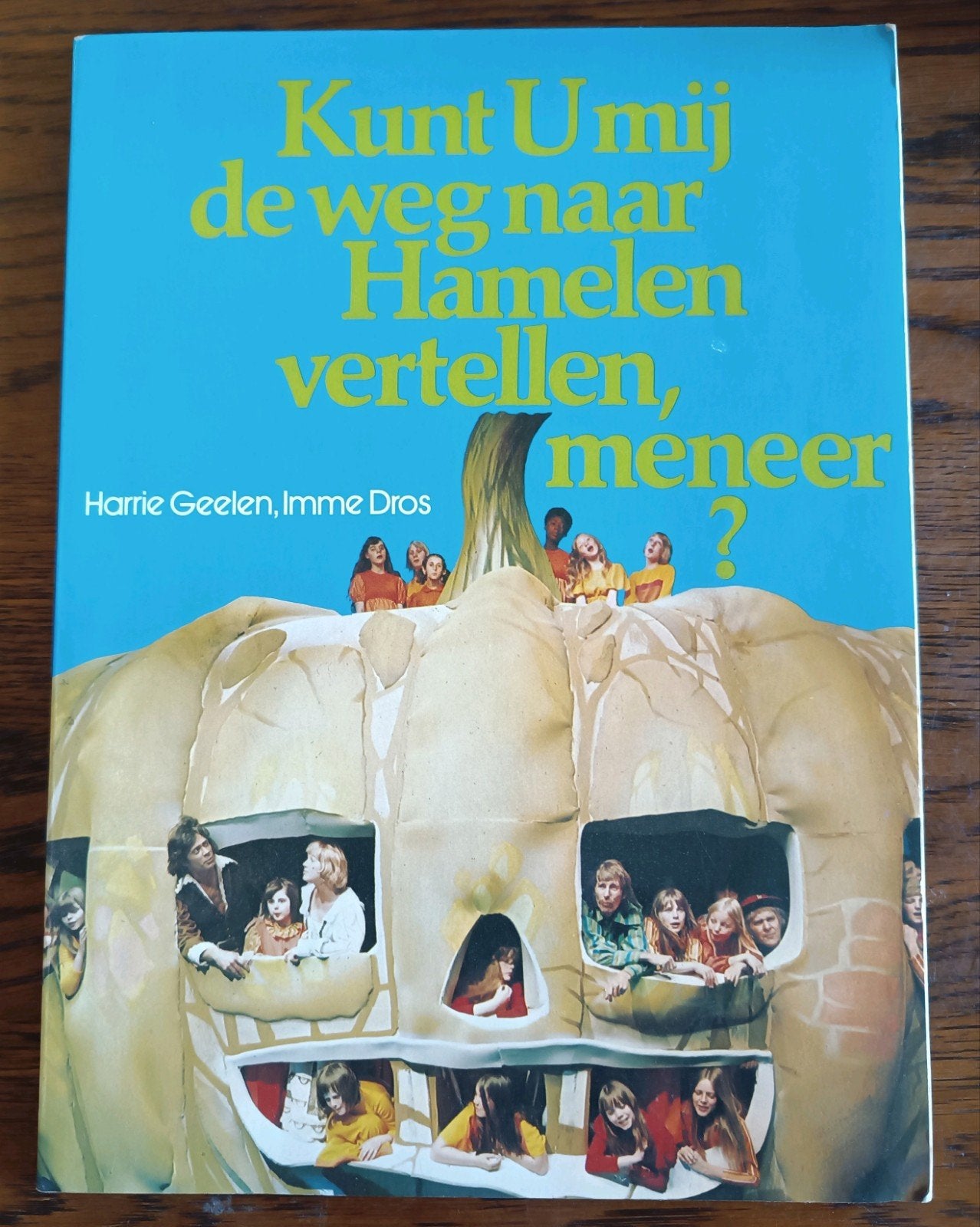 Kunt u mij de weg naar Hamelen vertellen meneer? (1975), Boeken, Gelezen, Ophalen of Verzenden, Nederland, Harrie geelen