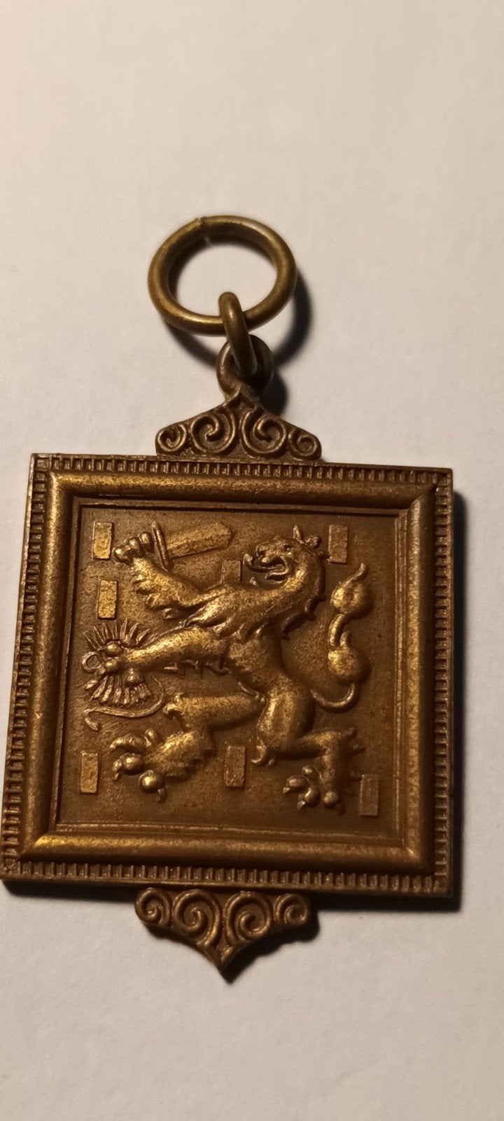 Jubileum Wandeltocht Medaille Rode Kruis Korps 1948, Ophalen of Verzenden, Brons, Nederland