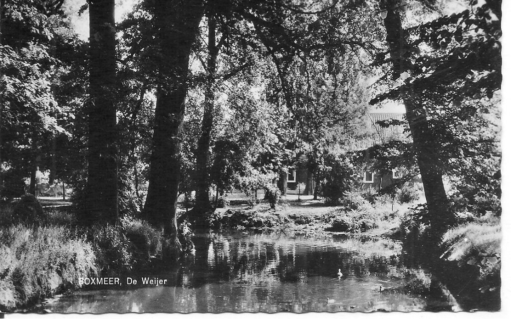 Boxmeer   De Weijer., Ophalen of Verzenden, 1960 tot 1980, Ongelopen, Zuid-Holland