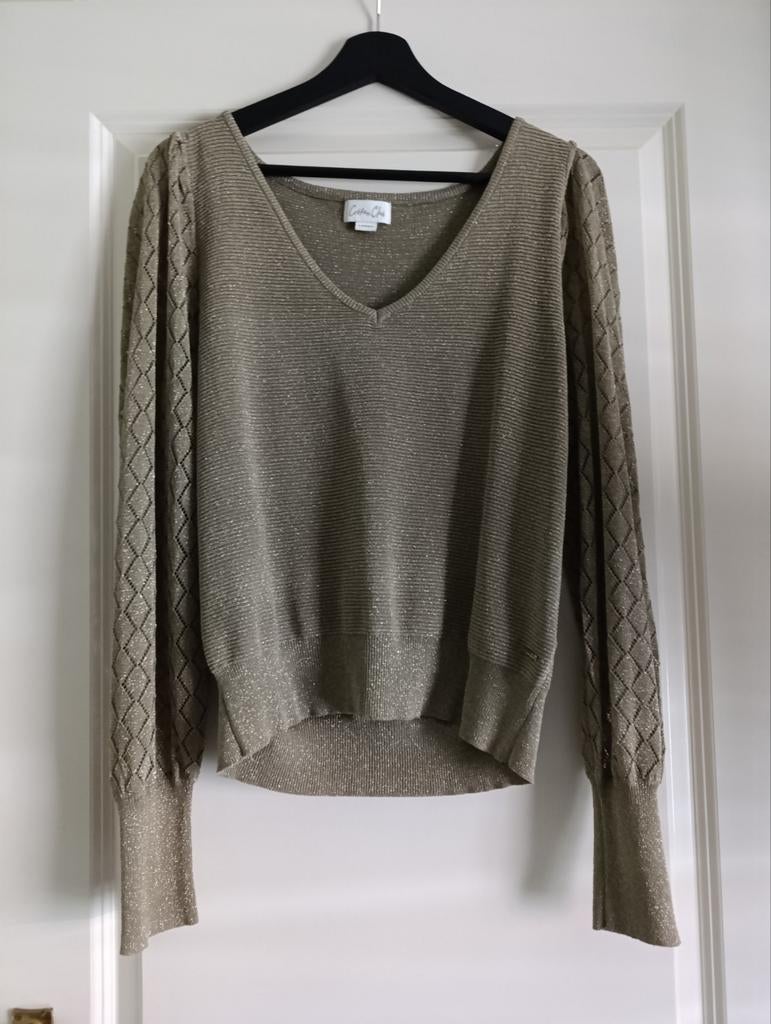 Dames truitje goud groen top met glitters maat M, Maat 38/40 (M), Overige kleuren, Nieuw, Ophalen of Verzenden