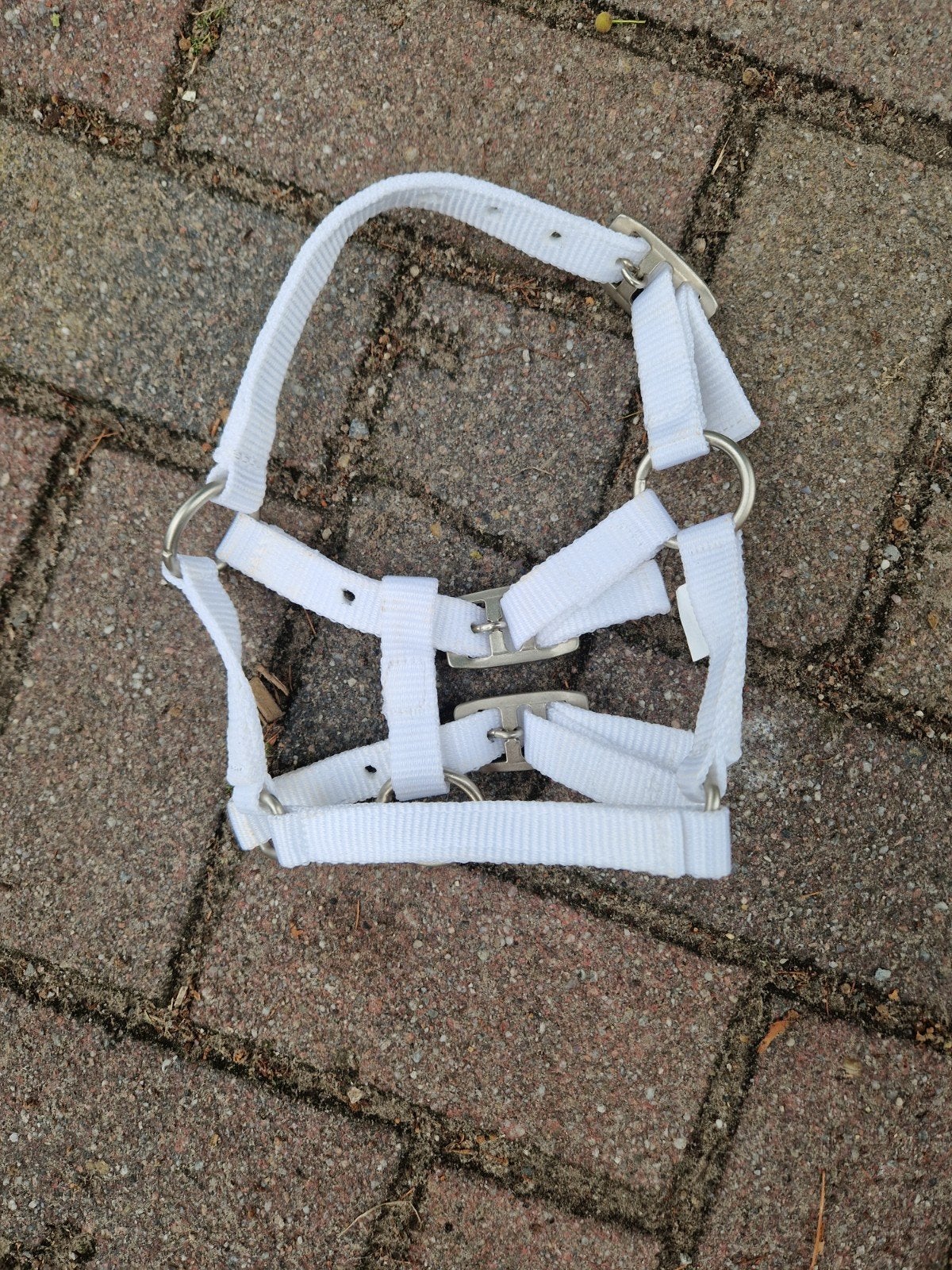 te koop 20x witte falabella foal halsters, Ophalen of Verzenden, ., ., .