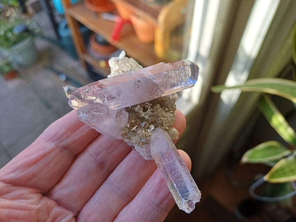 VC6 Amethyst Mine de Vera Cruz Las Vigas de Ramirez Mexico, Ophalen of Verzenden, Mineraal