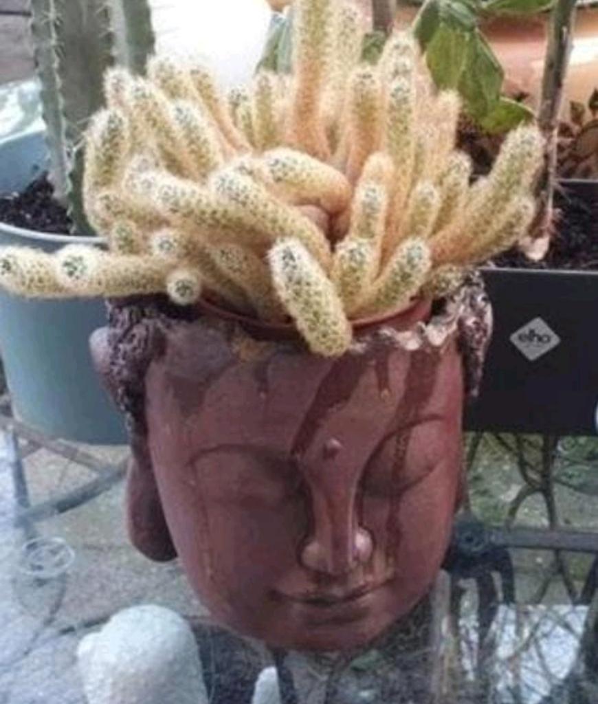 Buddhahead Flowerpot Bloempot, Rond, Ophalen of Verzenden, Aardewerk, Minder dan 40 cm
