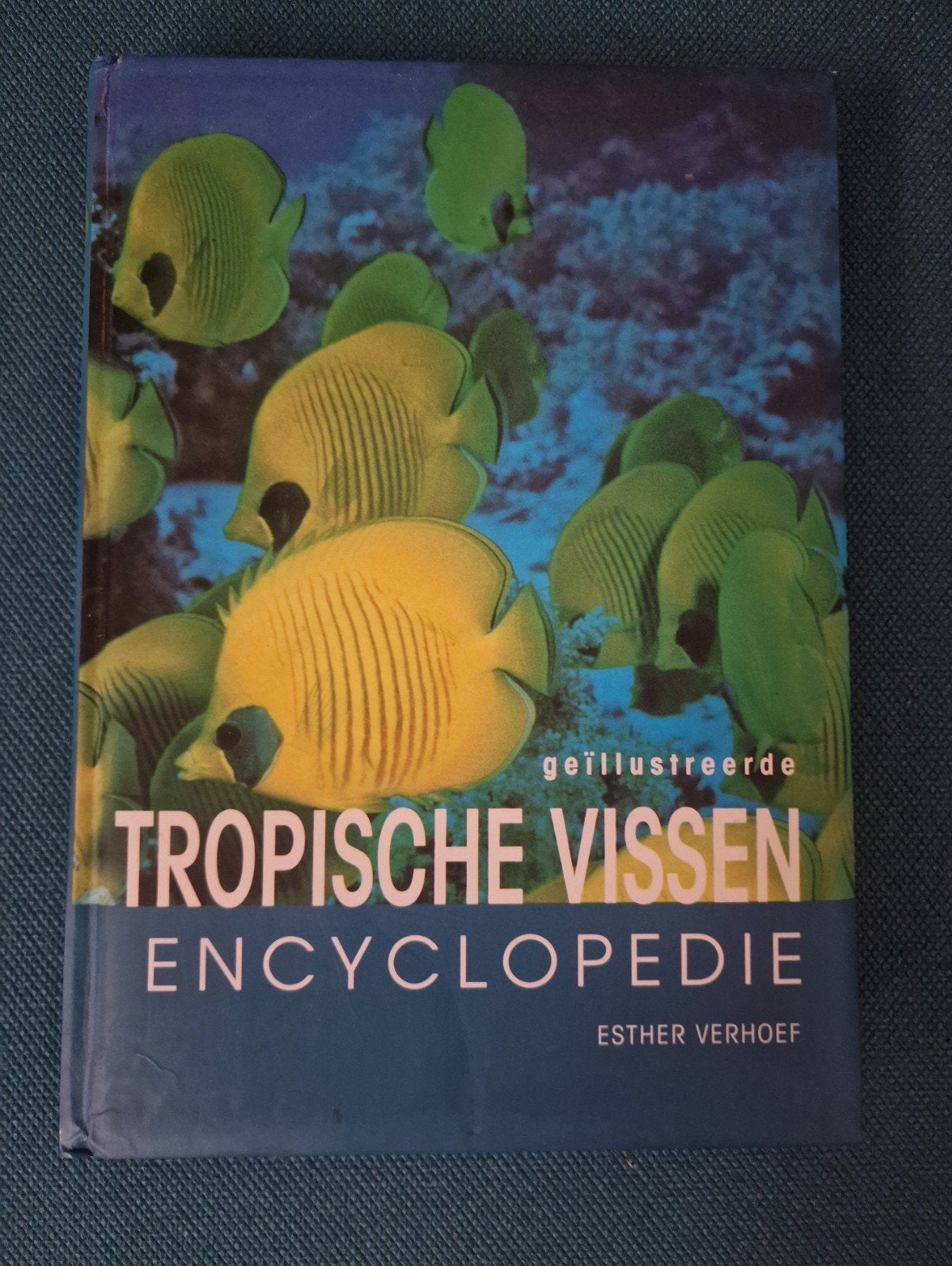 Tropische aquariumvissen encyclopedie, Boeken, Dieren en Huisdieren, E.J.J. Verhoef-Verhallen, Ophalen of Verzenden, Zo goed als nieuw