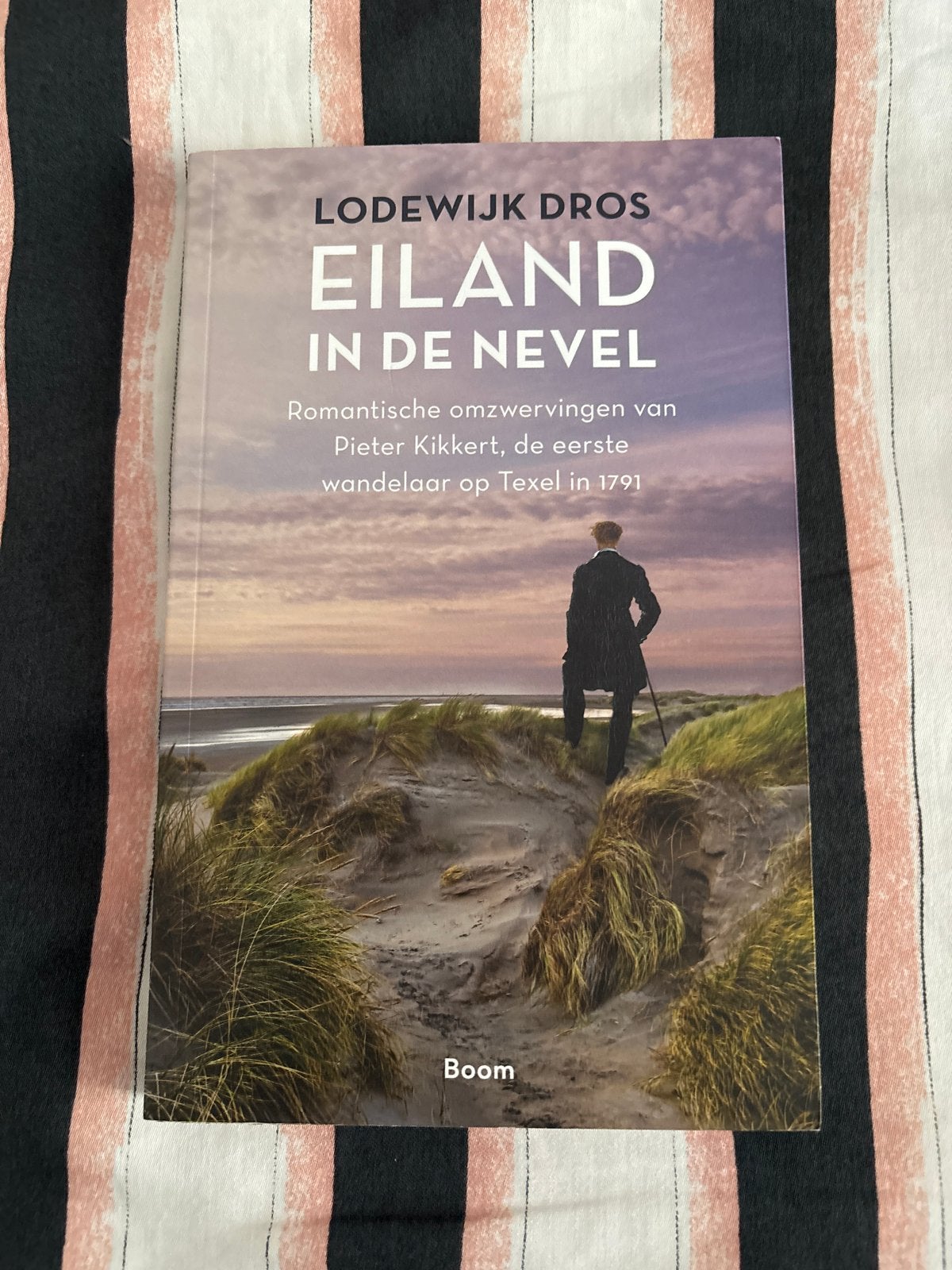 Eiland in de Nevel - Lodewijk Dros (Zo goed als nieuw), Ophalen, Zo goed als nieuw, Nederland