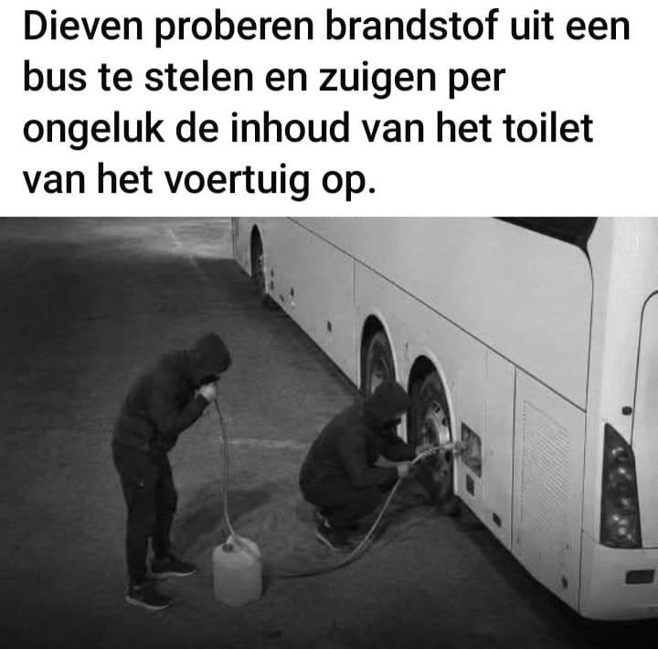 Honden rek, Ophalen, Zo goed als nieuw