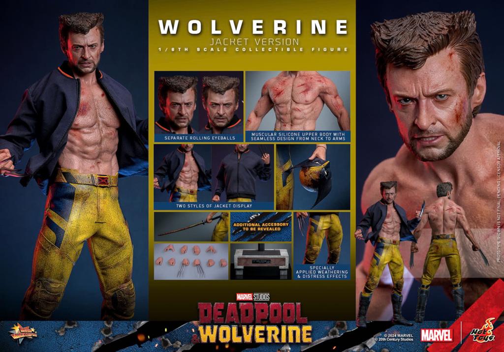 Wolverine (TVA Jacket) - Deadpool & Wolverine (Hot Toys), Ophalen of Verzenden, Nieuw, Actiefiguur of Pop