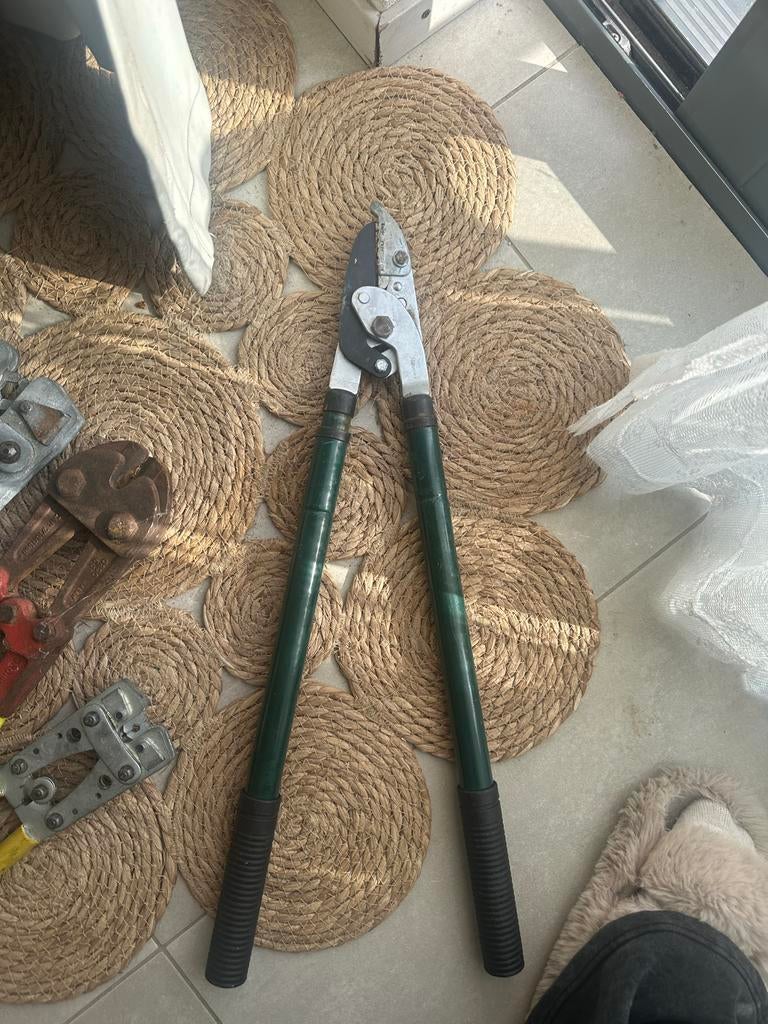 Telescopische takkenschaar voor snoeiwerk, Ophalen, Gebruikt, 30 t/m 39 mm, Telescopisch