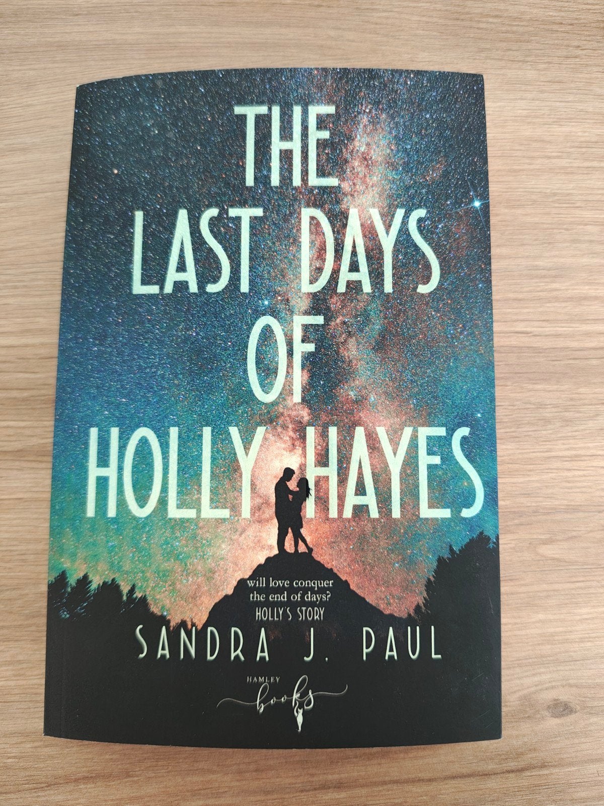 Sandra J. Paul - The Last Days of Holly Hayes, Ophalen of Verzenden, Zo goed als nieuw, Sandra J. Paul