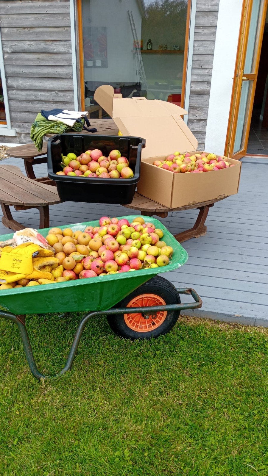 Appelsap 5l bag-in-box, Ophalen, Nieuw