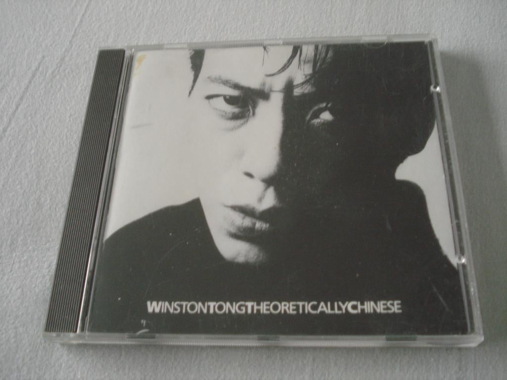 WINSTON TONG - THEORETICALLY CHINESE experiment ,synthpop, Ophalen of Verzenden, Zo goed als nieuw