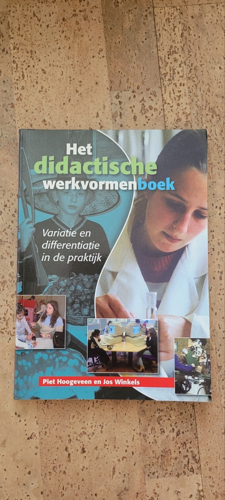 Het didactische werkvormenboek - Variatie en differentiatie, Boeken, Studieboeken en Cursussen, Piet Hoogeveen en Jos Winkels