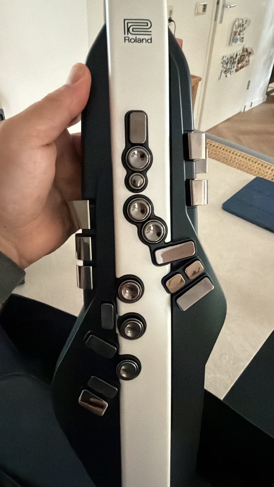 Roland Aerophone AE-10 Digitale Blaasinstrument, Ophalen of Verzenden, Zo goed als nieuw, Overige soorten, Met koffer of draagtas