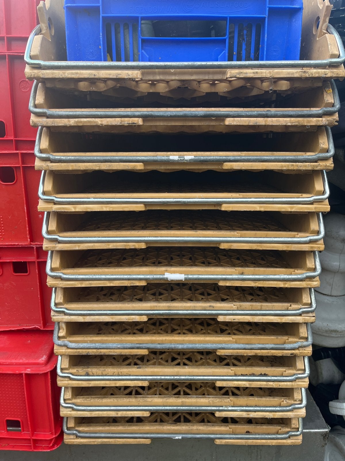 Broodkratten - Diverse maten en kleuren, Gebruikt, 40 tot 60 cm, 50 tot 75 cm, Minder dan 35 cm