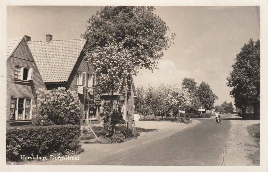 harskamp- dorpsstraat, Ophalen of Verzenden, 1940 tot 1960, Friesland