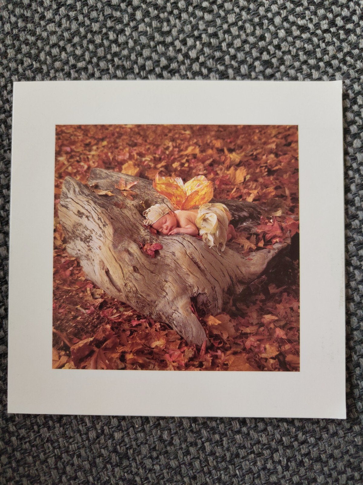 Anne Geddes kaart, Ophalen of Verzenden, 2000 tot heden, Geboortekaartje