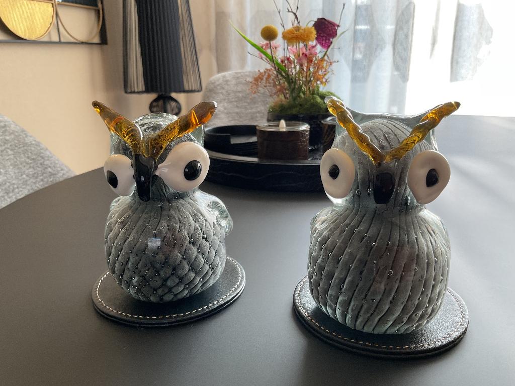 Prachtige glazen uilen luxe Decoratie set , Ook zwanen, Ophalen, Zo goed als nieuw, Dier