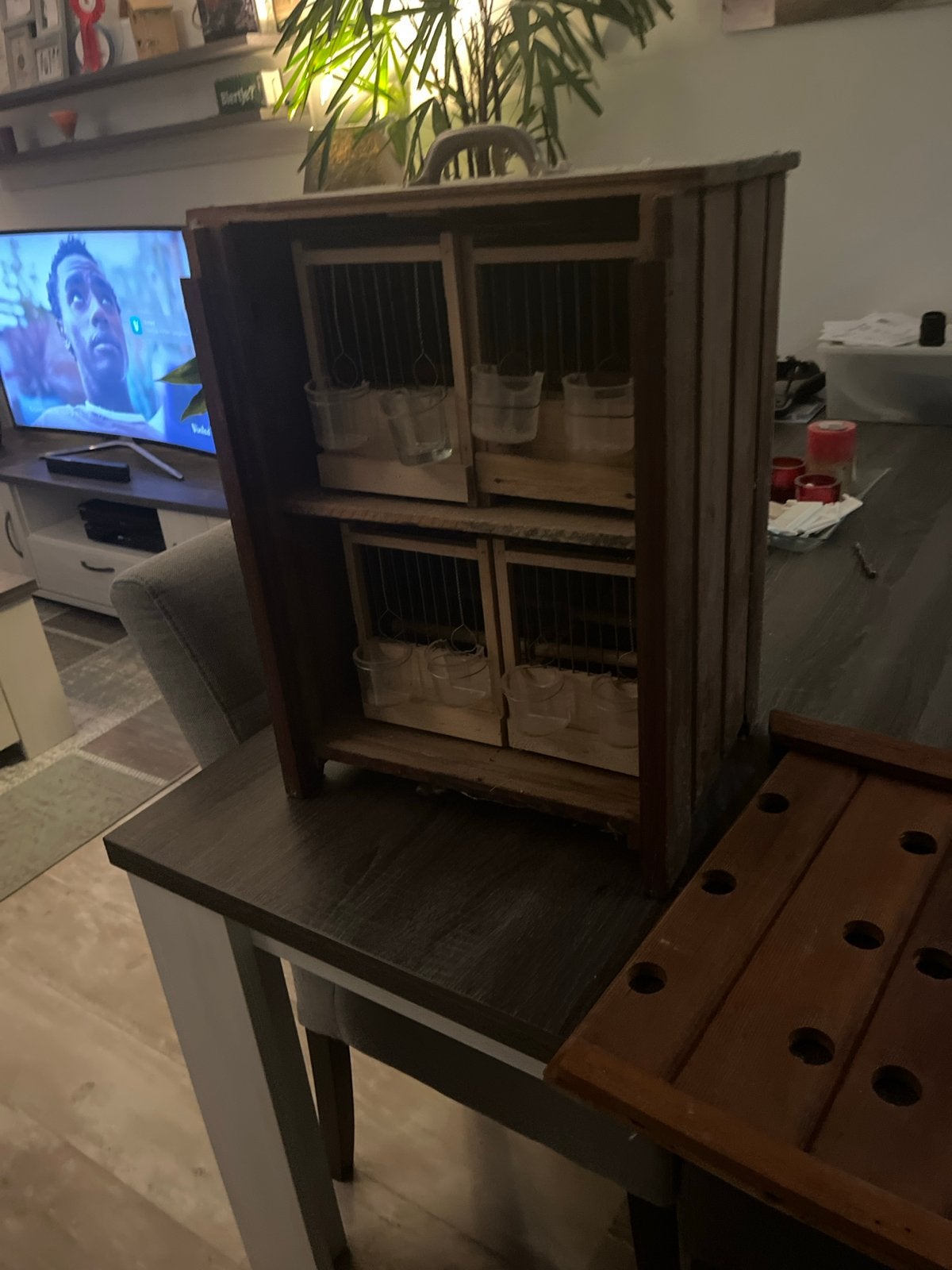 Vervoerskoffer met 4 zangkooitjes, Dieren en Toebehoren, Ophalen, Hout, Vogelkooi