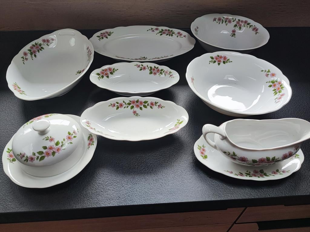 Vintage Tsjechoslowaaks Servies met Bloemen, Ophalen of Verzenden