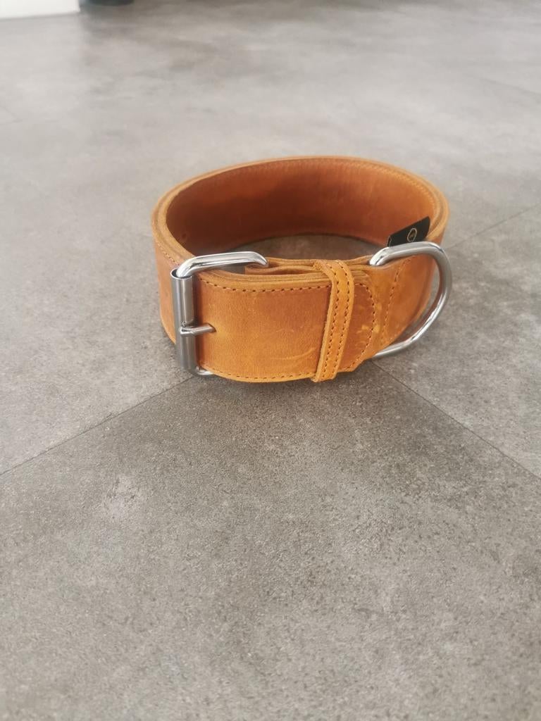 Leidy methode halsband, Verzenden, Nieuw
