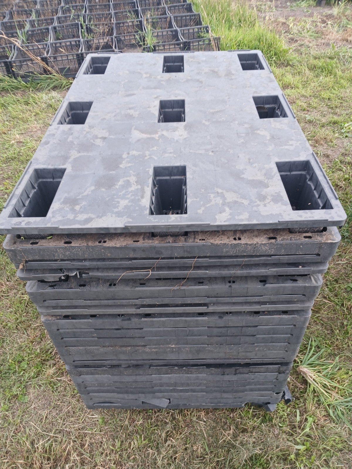 Kunstof pallets 120x80, Ophalen of Verzenden