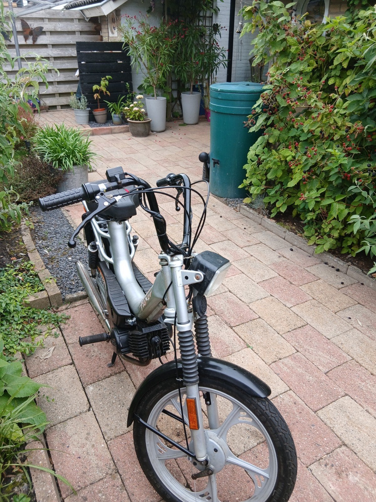 Tomos Flexer snorfiets - Goed onderhouden, Fietsen en Brommers, Brommers | Tomos, Ophalen, Gebruikt, Maximaal 25 km/u, Flexer