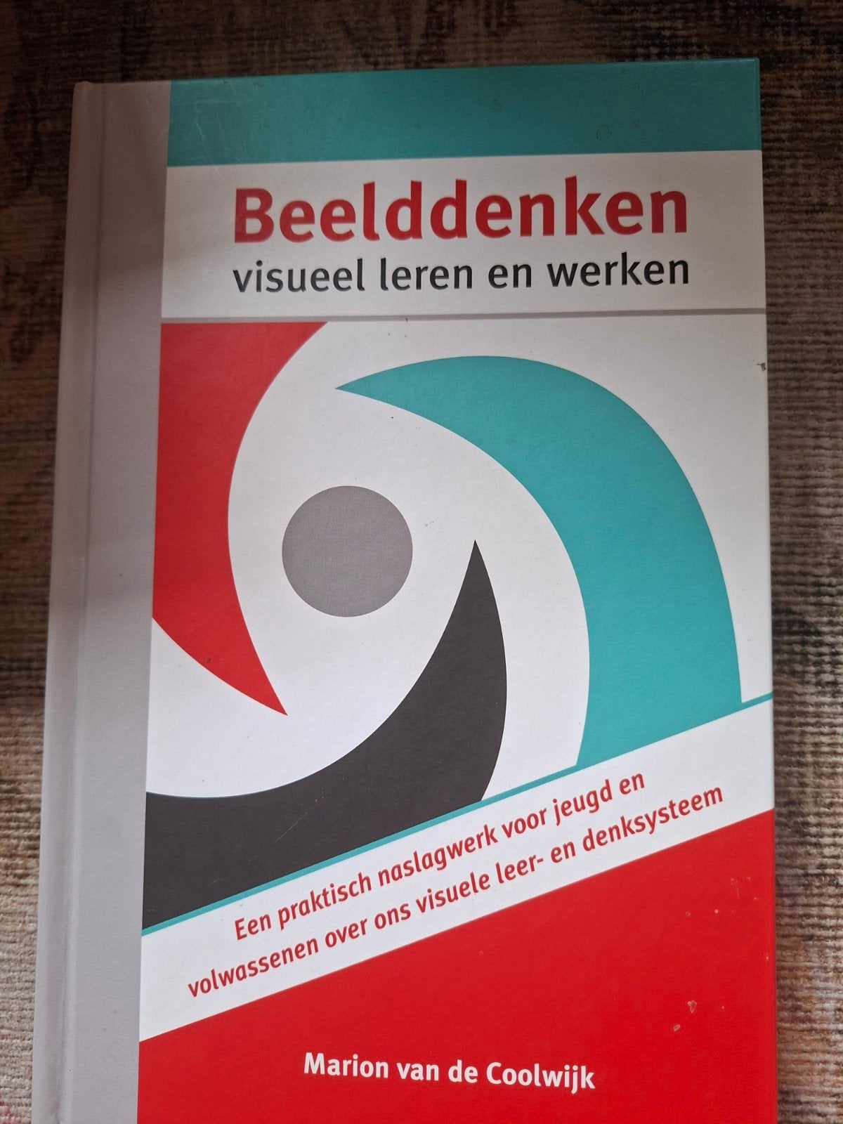 Beelddenken, visueel leren en werken, Boeken, Ophalen of Verzenden, Zo goed als nieuw, Marion van de Coolwijk, Nederlands